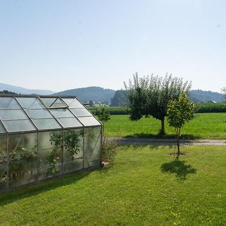 Апартаменты Im Idyll 3 Хенгерсберг Экстерьер фото